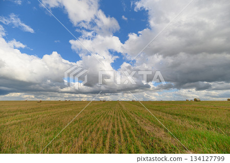 Expansive Fields Under a Dramatic Cloudy Sky with Beautiful Scenery and Vibrant Nature Expansive Fields Under a Dramatic Cloudy Sky with Beautiful Scenery and Vibrant Nature 134127799