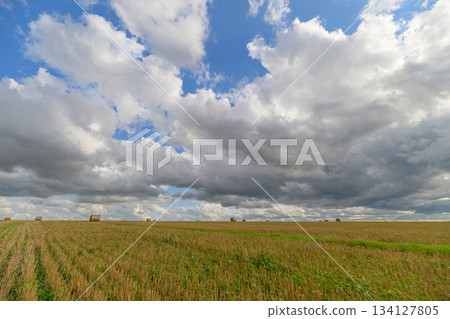 Vast and Expansive Green Fields Stretch Under a Dramatic and Beautiful Cloudy Sky Vast and Expansive Green Fields Stretch Under a Dramatic and Beautiful Cloudy Sky 134127805