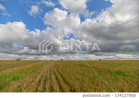 A Vast and Expansive Agricultural Landscape Set Against a Dramatic Sky That Captivates All 134127808