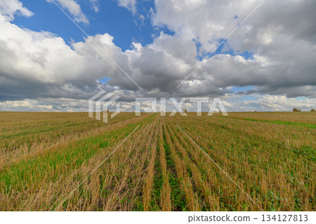 A Serene Landscape Featuring Expansive Fields Under Dramatic Skies That Captivate the Eye 134127813