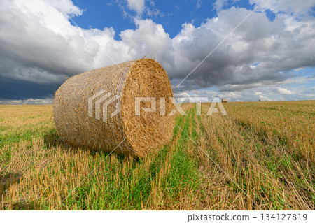 The Breathtaking View of Golden Hay Bales Set Against a Beautifully Cloudy Sky in Fields The Breathtaking View of Golden Hay Bales Set Against a Beautifully Cloudy Sky in Fields 134127819