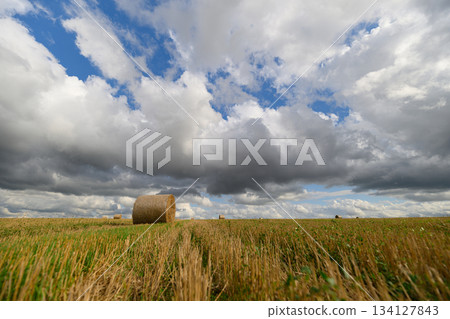 A Serene and Picturesque Landscape Featuring Bales of Hay Beneath a Dramatic Sky 134127843