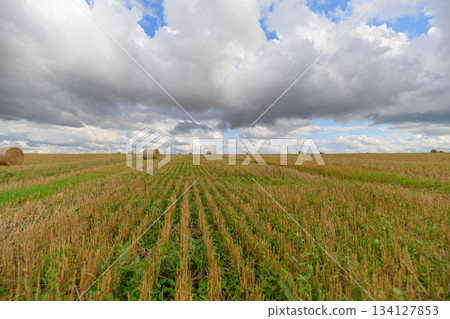A Vast and Expansive Agricultural Field Sprawls Beneath a Dramatic and Beautiful Sky A Vast and Expansive Agricultural Field Sprawls Beneath a Dramatic and Beautiful Sky 134127853