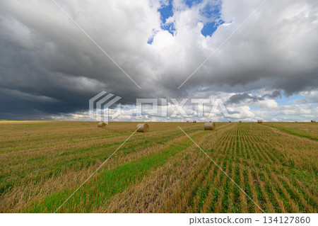 A Vast Expansive Farm Field Spreading Out Under a Dramatic and Striking Sky Above A Vast Expansive Farm Field Spreading Out Under a Dramatic and Striking Sky Above 134127860