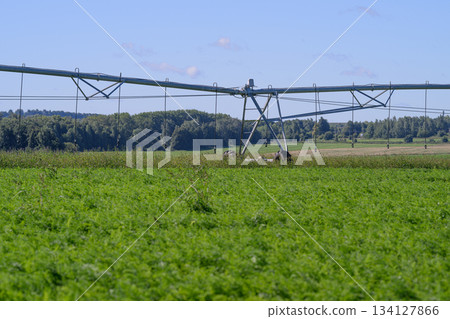 The Importance of an Efficient Irrigation System in a Thriving Agricultural Field Environment The Importance of an Efficient Irrigation System in a Thriving Agricultural Field Environment 134127866