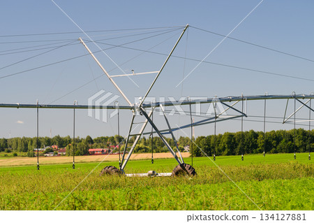 The Modern Irrigation System plays a crucial role in enhancing agricultural practices today 134127881