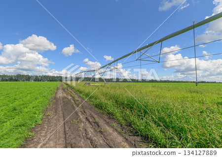 Irrigated Cropland on a Beautiful Day Under the Clear, Bright Blue Skies Above Us Irrigated Cropland on a Beautiful Day Under the Clear, Bright Blue Skies Above Us 134127889
