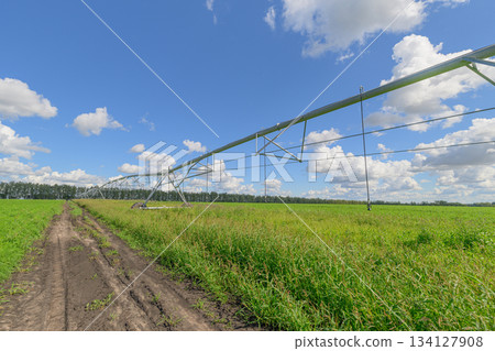 A Beautifully Irrigated Crop Field Spreading Beneath a Bright Blue Sky with Fluffy Clouds A Beautifully Irrigated Crop Field Spreading Beneath a Bright Blue Sky with Fluffy Clouds 134127908