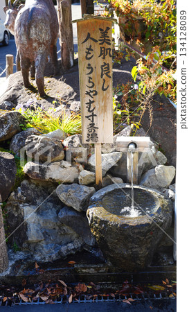 Sumatakyo Hot Springs Beauty Bath 134128089