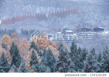 Zao in early winter Zao in early winter 134128189