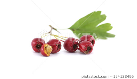 A Close-Up Hawthorn Berries with Leaf on White Background A Close-Up Hawthorn Berries with Leaf on White Background 134128496