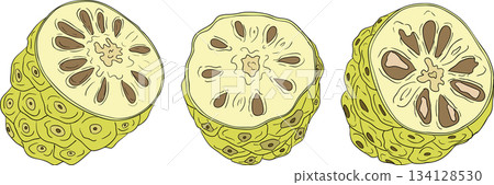 Detailed colored noni fruits,Indian mulberry, great morinda Detailed colored noni fruits,Indian mulberry, great morinda 134128530