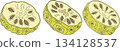 Detailed colored noni fruits,Indian mulberry, great morinda 134128537