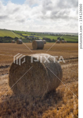 Hay bales on agriculture field against sky Hay bales on agriculture field against sky 134128660