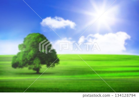 Tree on green field during sunny day Tree on green field during sunny day 134128794