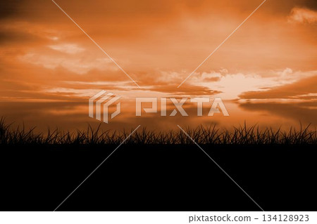 Grass blades silhouette is stretching across horizon in flat design under orange sky with clouds 134128923