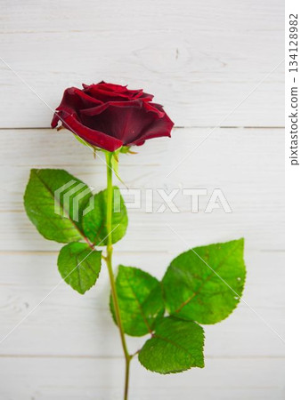 Red rose on wood with copy space 134128982