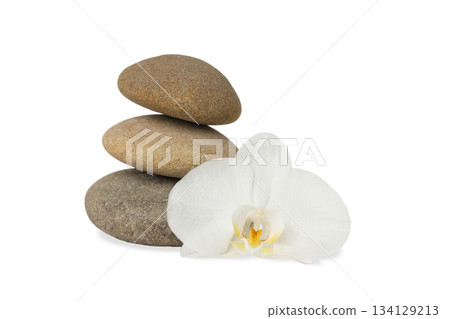 Calming arrangement of spa stones and white orchid, on white, PNG Calming arrangement of spa stones and white orchid, on white, PNG 134129213