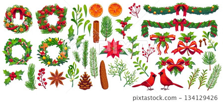 Christmas decorations of Xmas wreath, cardinal bird and mistletoe, cartoon vector icons. Christmas decorations of pine tree twigs and cones, poinsettia flowers, holly berry leaves, cinnamon, and anise 134129426