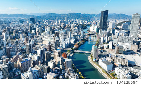 Drone aerial view of city and blue sky 134129584