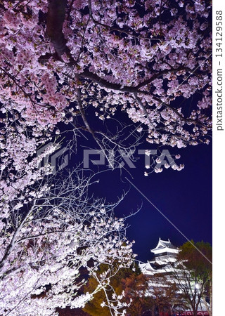 Matsumoto Castle Spring Illumination 134129588