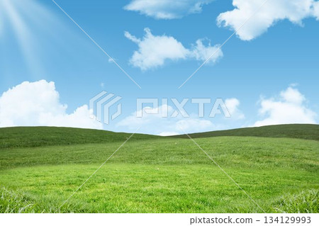 Rolling grassy hills are being shown in flat design with scattered white clouds and sun rays Rolling grassy hills are being shown in flat design with scattered white clouds and sun rays 134129993