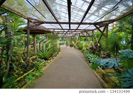 松江沃格爾公園的景色 134131499