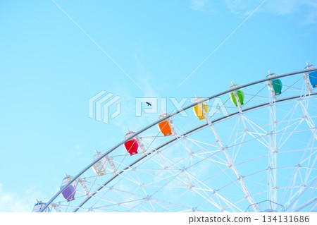 彩虹色的摩天輪和一隻鳥兒映襯著藍天 134131686