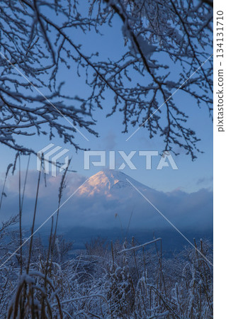 從雪山上眺望富士山 134131710