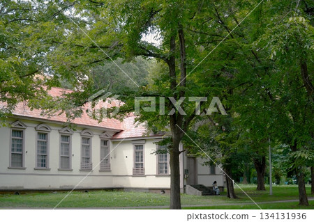 A historic school surrounded by trees A historic school surrounded by trees 134131936