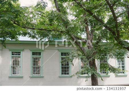 A historic school surrounded by trees 134131937