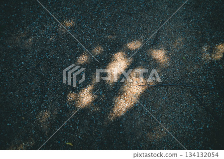 sunshine filtering through foliage, sunlight through the leaves, earth's surface 134132054