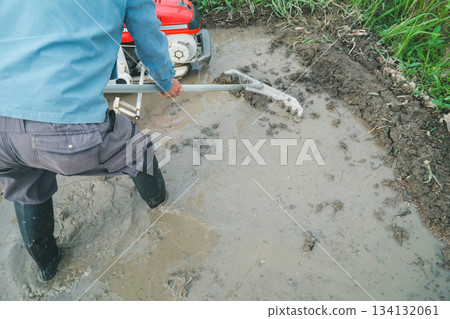 rice planting, paddy, male 134132061