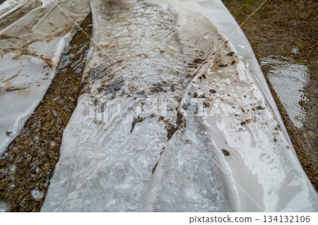 我插完稻後洗了工作服，但污漬洗不掉。 134132106