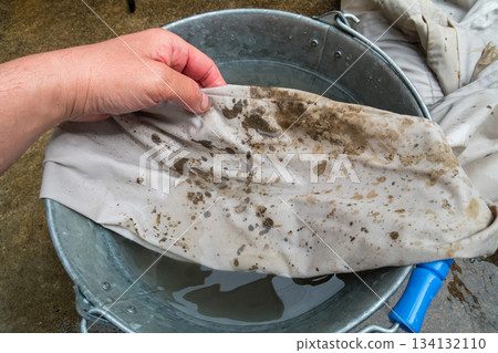 清洗被稻米種植弄髒的工作服 134132110