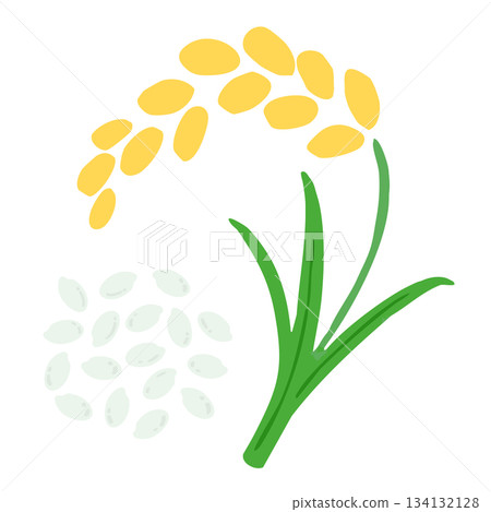 Illustration of ingredients without main lines_rice ears and rice grains 134132128