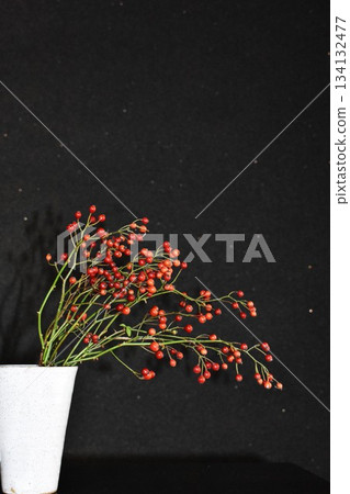 Red berries of the wild rose 134132477