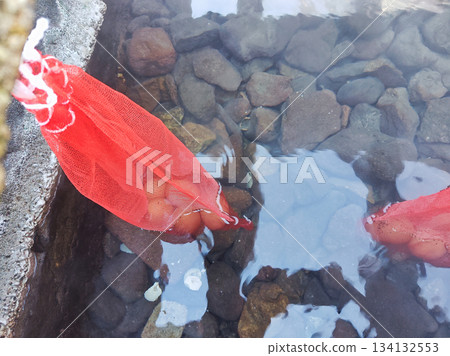 Onsen eggs boiled in a net 134132553