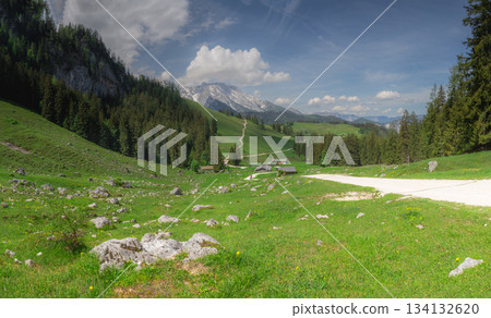 Mountain valley with tracks near Jenner mount in Berchtesgaden National Park Mountain valley with tracks near Jenner mount in Berchtesgaden National Park 134132620