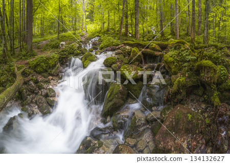 Rothbach Waterfall near Konigssee lake in Berchtesgaden National Park, Germany Rothbach Waterfall near Konigssee lake in Berchtesgaden National Park, Germany 134132627