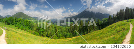 Meadow with road in Berchtesgaden National Park Meadow with road in Berchtesgaden National Park 134132630