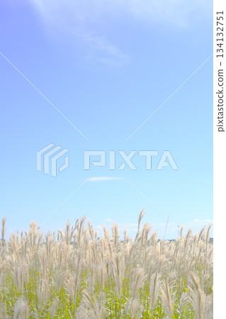 美麗的哈馬納蘇諾卡公園 美麗的哈馬納蘇諾卡公園 134132751