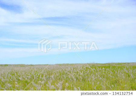 Beautiful Hamanasunooka Park Beautiful Hamanasunooka Park 134132754