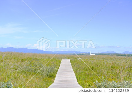 Beautiful Hamanasunooka Park 134132889