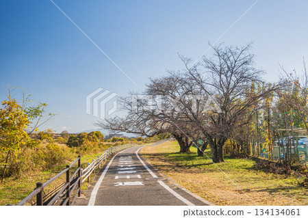 Early winter scenery of Arashiyama, Keihanawa Bicycle Path, Kyoto City 134134061