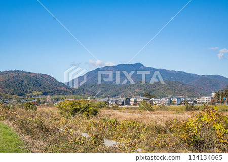 初冬時節的桂川河床，京都 134134065