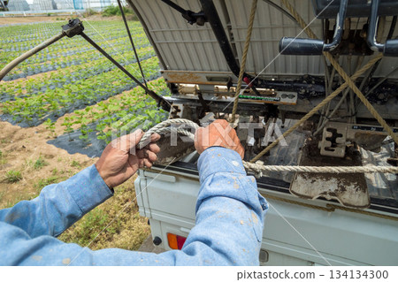 track, truck, vehicle 134134300