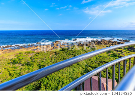 從千葉縣南房總市野島崎燈塔眺望 從千葉縣南房總市野島崎燈塔眺望 134134580