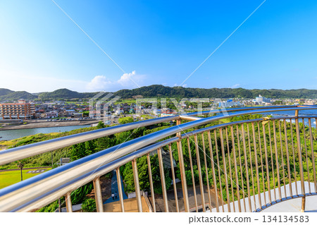 從千葉縣南房總市野島崎燈塔眺望 134134583