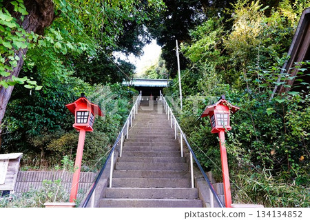富塚八幡神社（富塚八幡神社） 134134852